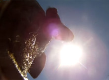 A GoPro Camera Falls Hundreds Of Feet And Meets A Pig