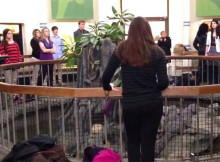 Choir Discovers The Acoustics Of The Reptile House At The Cincinnati Zoo And Then This Happens